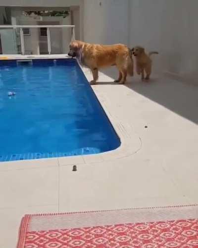 Trying to push her sister into the pool!