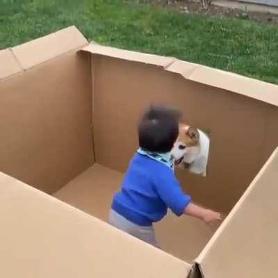 Baby Playing with Corgi! Isn't it so cute?