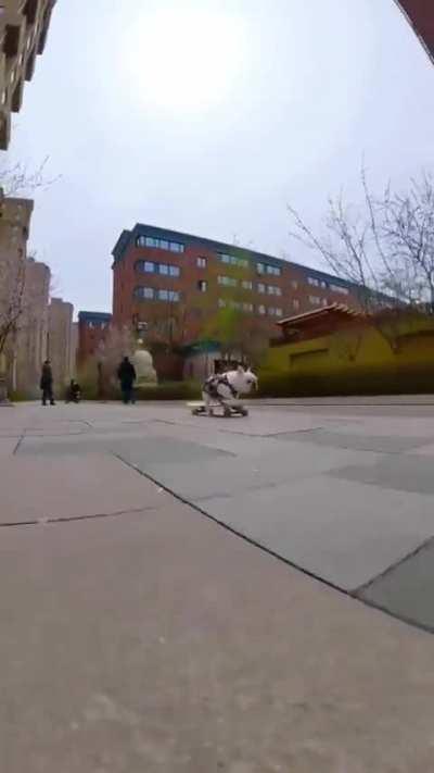 This dog's skateboarding skills