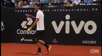 Rescued street dogs trained as 'Ball Dogs' at the Brazil open