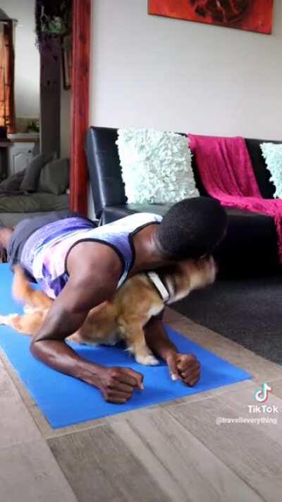 Plank? More like puppy kisses. Bonus: There’s a Schnoodle poem in the original comments!