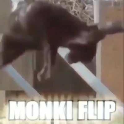 Monki flip😳👉👈