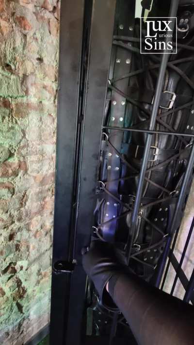 Kept in storage in a leather sleepsack and locked in a cage in the dungeon.