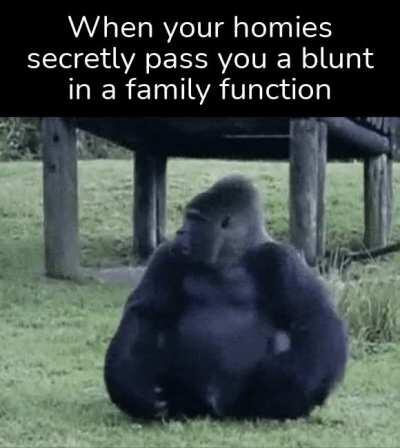 No, I don't eat a blunt.