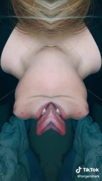 WAP: Xenomorph cover