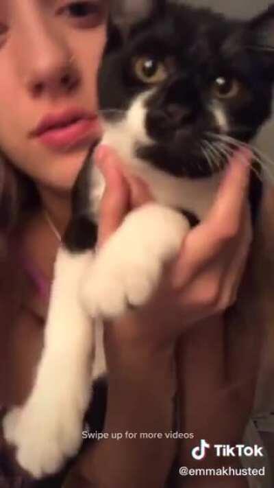 There’s a lot of cuteness here