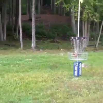 Disc golfer throws 530ft hole in one after slipping