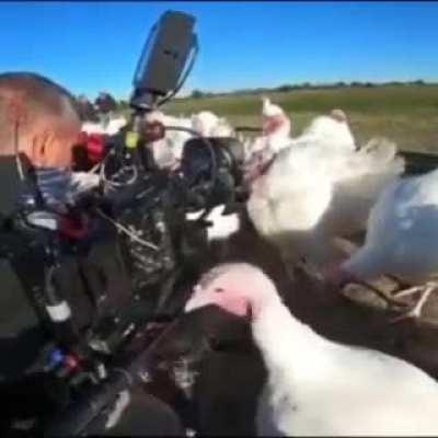 cAmErAmAn LoSeS hAnD tO mAnIcAlLy DeRaNgEd BiRdS