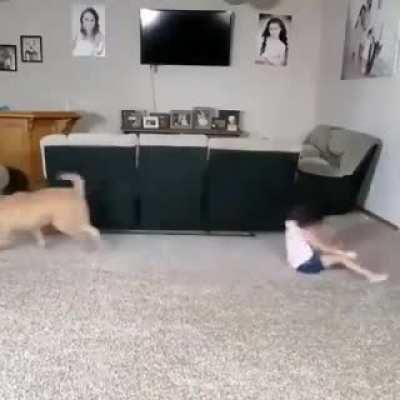 How this little girl train her dog.