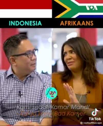 Cape Town's Afrikaans Dialect vs Indonesian