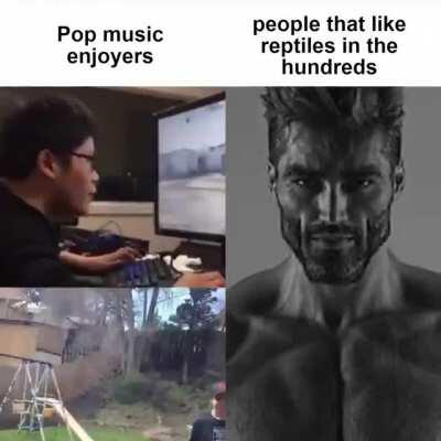 pop vs chad hyperpop