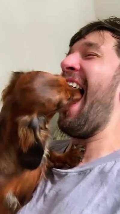 Dachshund dentist.