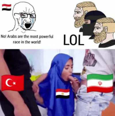 Arab women are just breeding toys for other races.