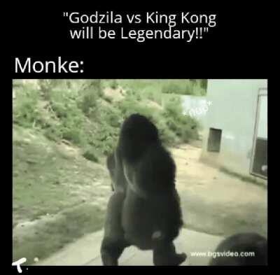 Poor Monkey : r/memes
