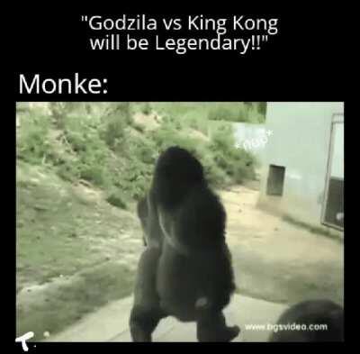 Poor monkey