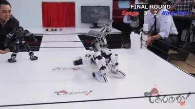 cute robot doing suplex