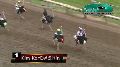 Anything more crazy than an Ostrich competition? The name of the winning Ostrich is Kim Kardashin!