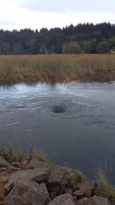 Throwing a log into a whirlpool