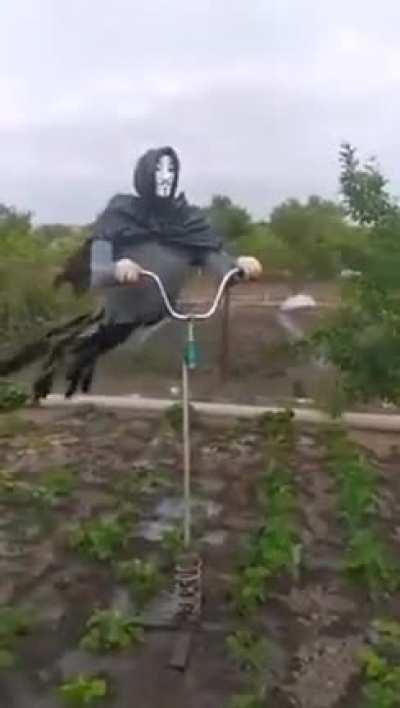 Scarecrow in action.