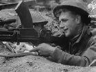 Cat with soldiers during World War II