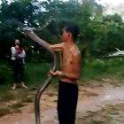 Dont mess with King Cobra!