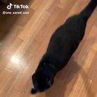 Before you you go back to cringing here is a wholesome TikTok.