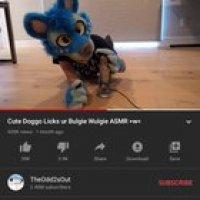 Bulgie_irl