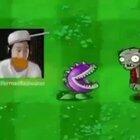 I like plants vs. zombies