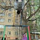 Never mix a slav with a swing