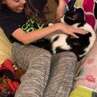 Luna has apparently bonded or is just obsessed with my daughter. This is the 2nd cat we’ve had that is like this with her.