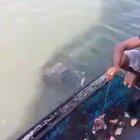 Piranha fishing