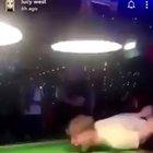 WCGW trying to catch a pool ball. With my teeth