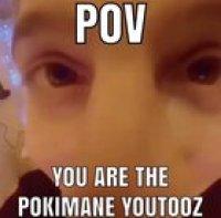 I wish I was the pokimane youtooz