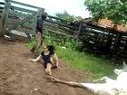 WCGW if I touch a cow giving birth