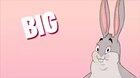 big chungus