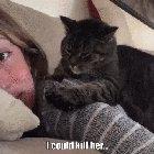 Oldie but goodie! Killer kitten...I’ll save this for tomorrow! 😹😹😹