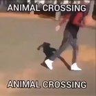 ANIMAL CROSSING