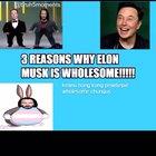 Top 3 reasons Elon musk is LE WHOLESOME 100!