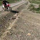 WCGW Trying to go up a cliff with a motorcycle