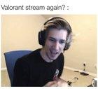 xqcSleeper