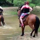 HMF while I take this horse to the old town road