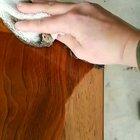 Staining your table