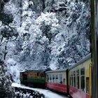 Toy train passing through a forest after snowfall in India.