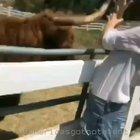 WCGW if I feed the animals