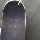 Praying mantis on a skateboard