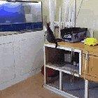 WCGW Jumping in a fish tank