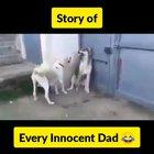 Story of every innocent dad