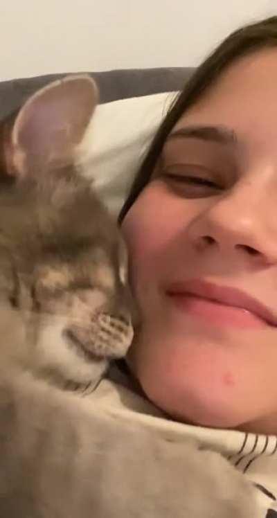 Wanted to take a funny video of my cat kneading my face and ended up with this instead, I love her