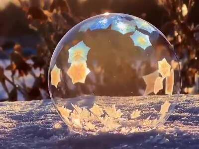 A bubble freezing on snow.