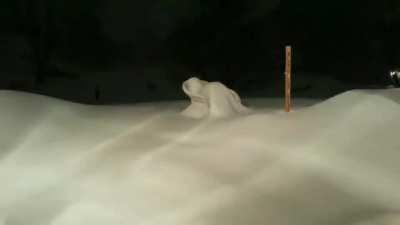 This 48 hours time-lapse of a blizzard in Northern Virginia